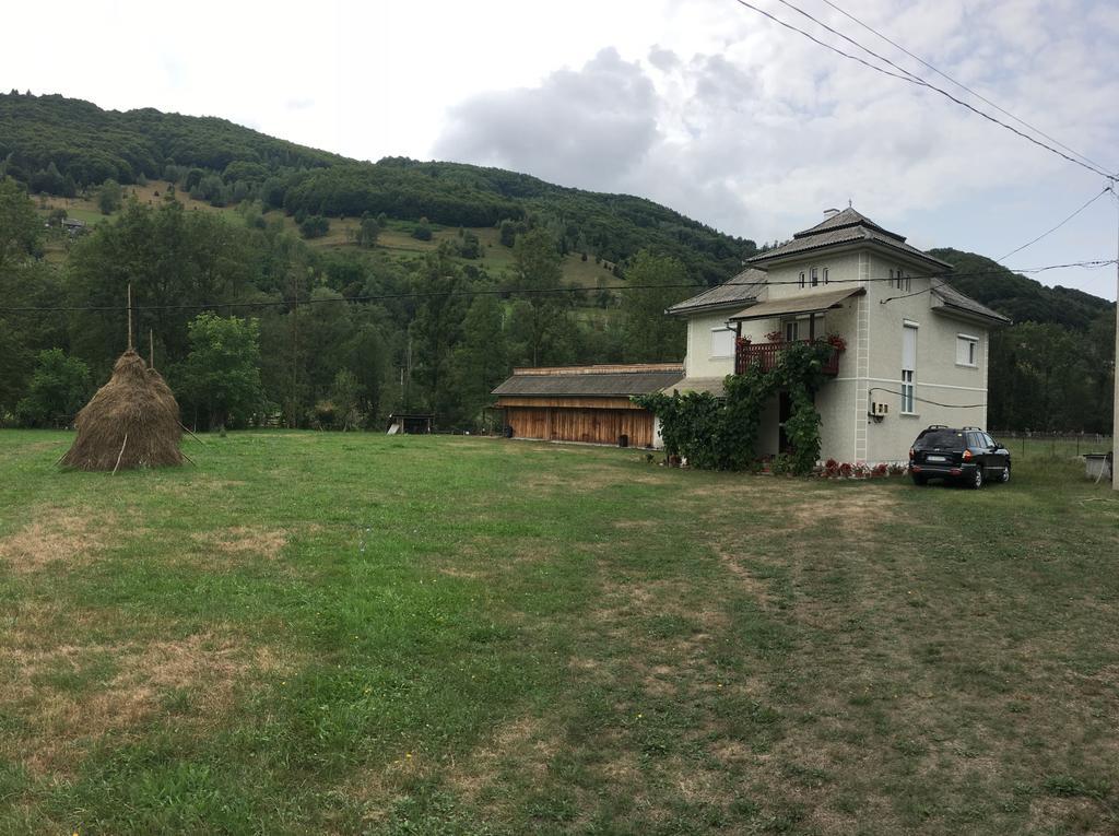 Villa Casa Danut à Vidra  Extérieur photo